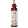 Bach Elm Be Efficient flower essence 20 mL dropper bottle