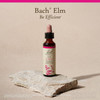 Bach Elm - 20 Milliliters
