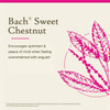 Bach Sweet Chestnut - 20 Milliliters