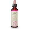 Bach Star of Bethlehem flower essence 20 ml (0.7 fl oz) dropper bottle