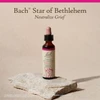 Star of Bethlehem bottle on a stone, Neutralize Grief label