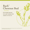 Bach Chestnut Bud - 20 Milliliters
