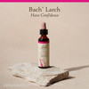 Bach Larch - 20 Milliliters