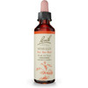 Bach Mimulus flower essence 20 ml (0.7 fl oz) dropper bottle