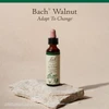 Walnut bottle on a stone, Adapt To Change label