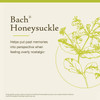 Bach Honeysuckle - 20 Milliliters