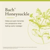 Bach Honeysuckle puts past memories in perspective when overly nostalgic graphic