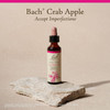 Crab Apple bottle on a stone, Accept Imperfections label