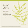 Bach Olive - 20 Milliliters