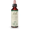 Bach Centaury flower essence 20 ml (0.7 fl oz) dropper bottle