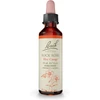 Bach Rock Rose flower essence 20 ml (0.7 fl oz) dropper bottle