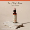 Bach Rock Rose 20 mL (0.7 fl oz) bottle on a stone