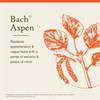 Bach Aspen - 20 Milliliters