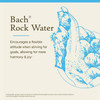 Bach Rock Water - 20 Milliliters