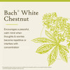 Bach White Chestnut - 20 Milliliters