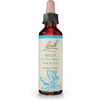 Bach Beech Be More Tolerant flower essence 20 mL dropper bottle