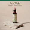 Bach Holly - 20 Milliliters