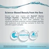 Science-based beauty from the sea marine collagen hyaluronic acid MSM graphic