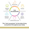 Aqua Biome microbiome digestion mood brain cardiovascular immune energy graphic