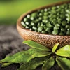 Sun Chlorella Econ 200mg - 1500 Tablets
