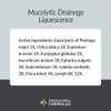 Professional Formulas Mucolytic Drain Formula - 118 Milliliters