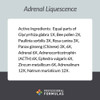 Professional Formulas Adrenal Liquescence - 118 Milliliters