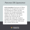 Professional Formulas Pancreas DB Liquescence - 118 Milliliters