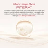 SK-II PITERA First Experience Kit