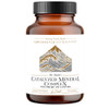 Quicksilver Scientific Catalyzed Mineral Complex amber bottle