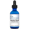 Energetix Amoeba-Chord homeopathic remedy 2 fl oz blue dropper bottle