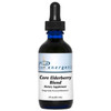 Energetix Core Elderberry Blend - 59.1 Milliliters