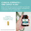 Organic Ashwagandha clinical strength one caplet a day graphic
