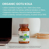 Himalaya Wellness Organic Gotu Kola - 90 Caplets