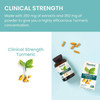 Himalaya Wellness Turmeric 95 - 60 Capsules