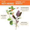 Himalaya Wellness StressCare - 120 Capsules