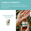 Himalaya Wellness Holy Basil - 60 Capsules