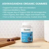 Ashwagandha Gummies bottle and two gummies, stress relief features