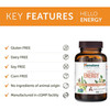 Himalaya Wellness Hello Energy - 60 Capsules