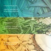 Eucalyptus, rosemary and coconut oil ingredient panels for warming body balm