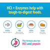 HCl plus Enzymes protein fats gluten casein stomach icons graphic
