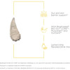 Barrier Complex gut and skin barrier Brightseed Myoceram GutGard graphic