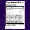 Brain Supplement Facts bacopa lion mane reishi ginkgo panel