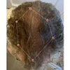 REVIAN Lyte Hair Growth Device