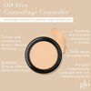glo Skin Beauty  Oil-Free Camouflage
