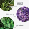 Dermalogica Special Cleansing Gel botanical ingredients infographic