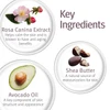 Lip Renewal key ingredients: rosa canina extract, shea butter, avocado oil