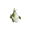 White foam swirl with aloe and sage leaves