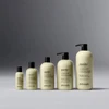 Five sizes of purity cleanser bottles lined up