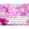 Evening primrose flowers with ingredient note