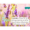 Lavender flowers, lavender calming properties ingredient graphic